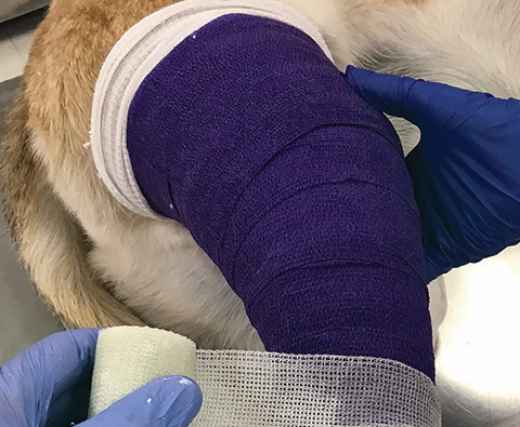 Picture for category Casting Supplies